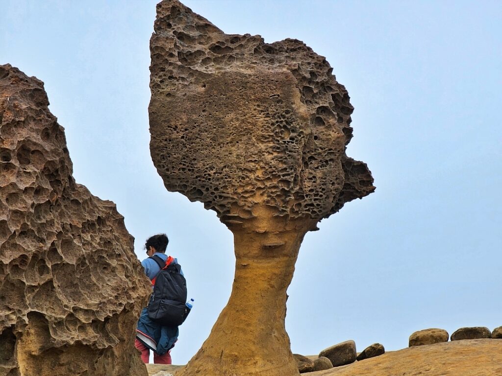 대만 예류지질공원에 있는 여왕바위의 모습